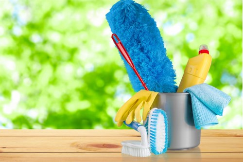 Image representing inclusive Fulham cleaners online experience