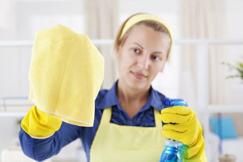 Illustration of cookie settings for Fulham Cleaners website