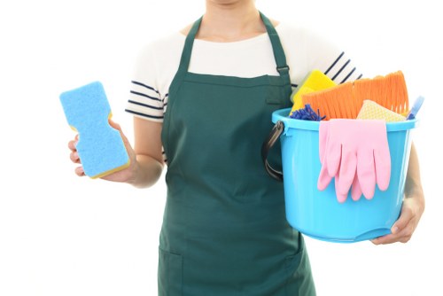 Professional Fulham cleaners introducing the company and cleaning values