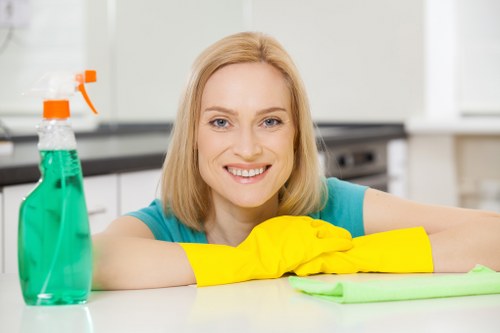 Kitchen and bathroom regular cleaning in Fulham