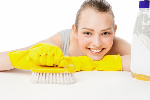 SSL-encrypted Fulham Cleaners payment process with card security