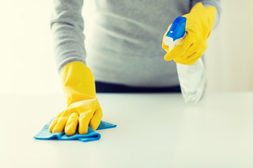 Bathroom deep cleaning in a Fulham home