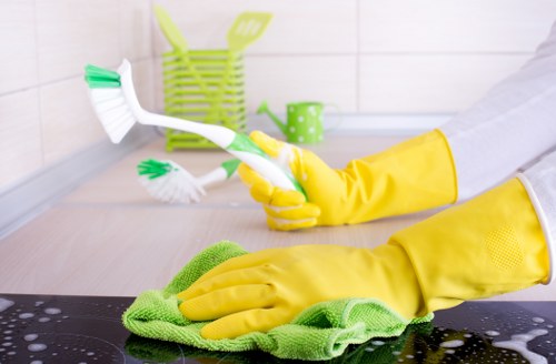 Kitchen deep cleaning in Fulham with detailed surface care