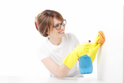 Delicate furniture care for sofa upholstery in Fulham